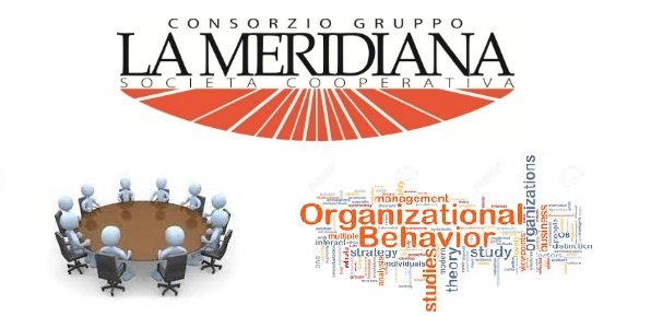 business management comportamento organizzativo