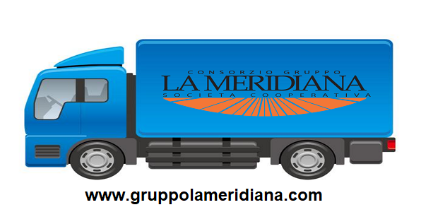 logistica team outsourcing